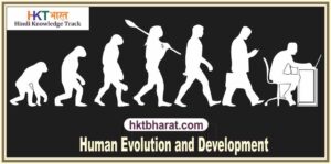 Human Evolution and Development