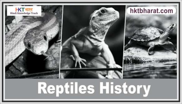 Reptiles History in Hindi