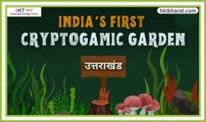 Cryptogamic Garden