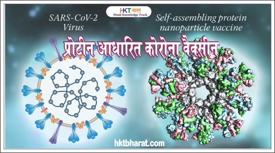 Protein Based Corana Vaccine in Hindi