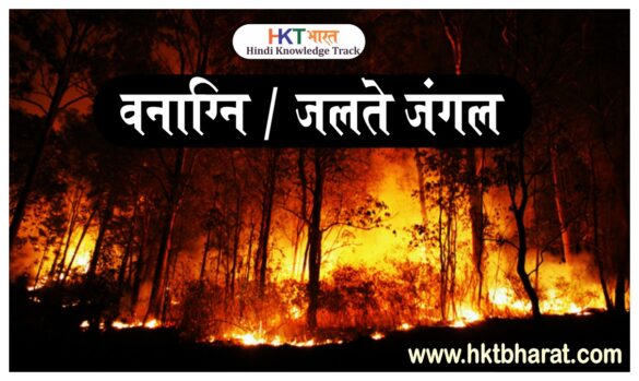 Forest Fire in Uttarakhand