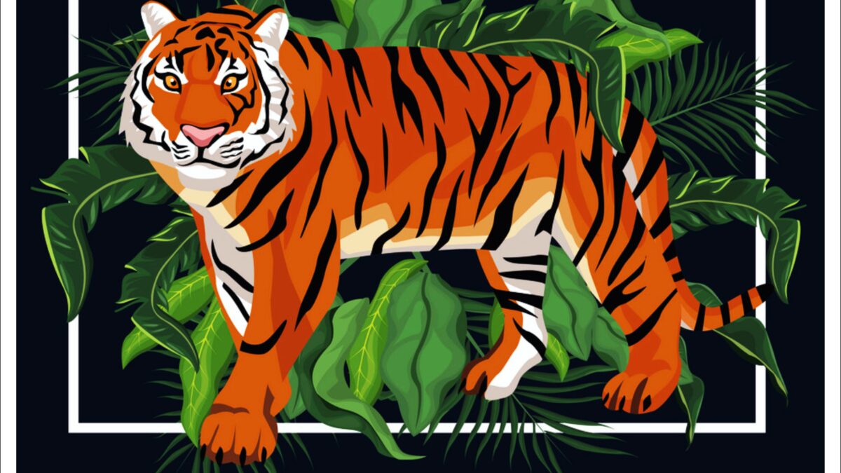 State Wise List of All 53 Tiger Reserve in India in hindi |  राज्य अनुसार बाघ अभयारण्य की सूची  –