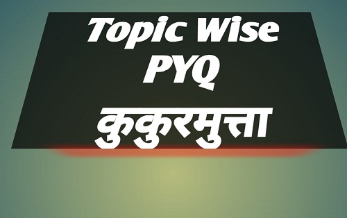 Hindi Literature UPSC PYQ Topic Wise KUKURMUTTA  