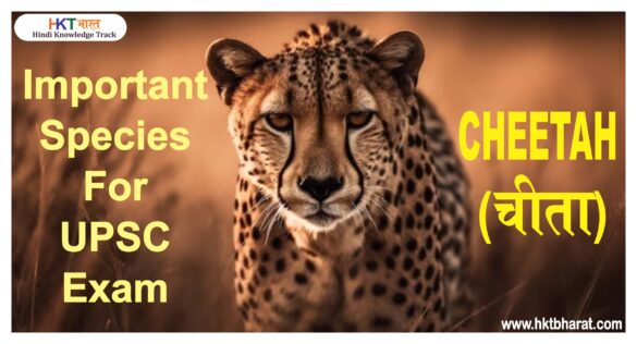 चीता / Cheetah - Important Species For UPSC Exam In Hindi | Pre Paper-1